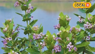 सूर्योदय से पूर्व करे स्नान मनचाहा मिलेगा सूर्यदेव से वरदान