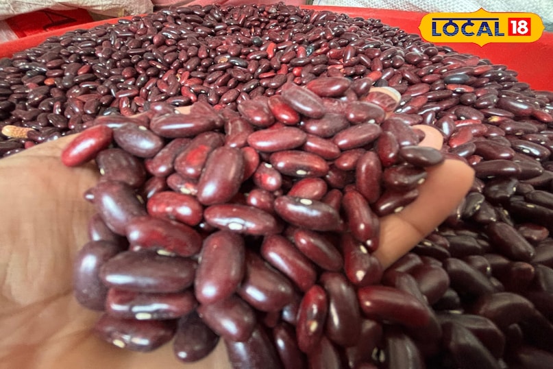 The important role of women farmers