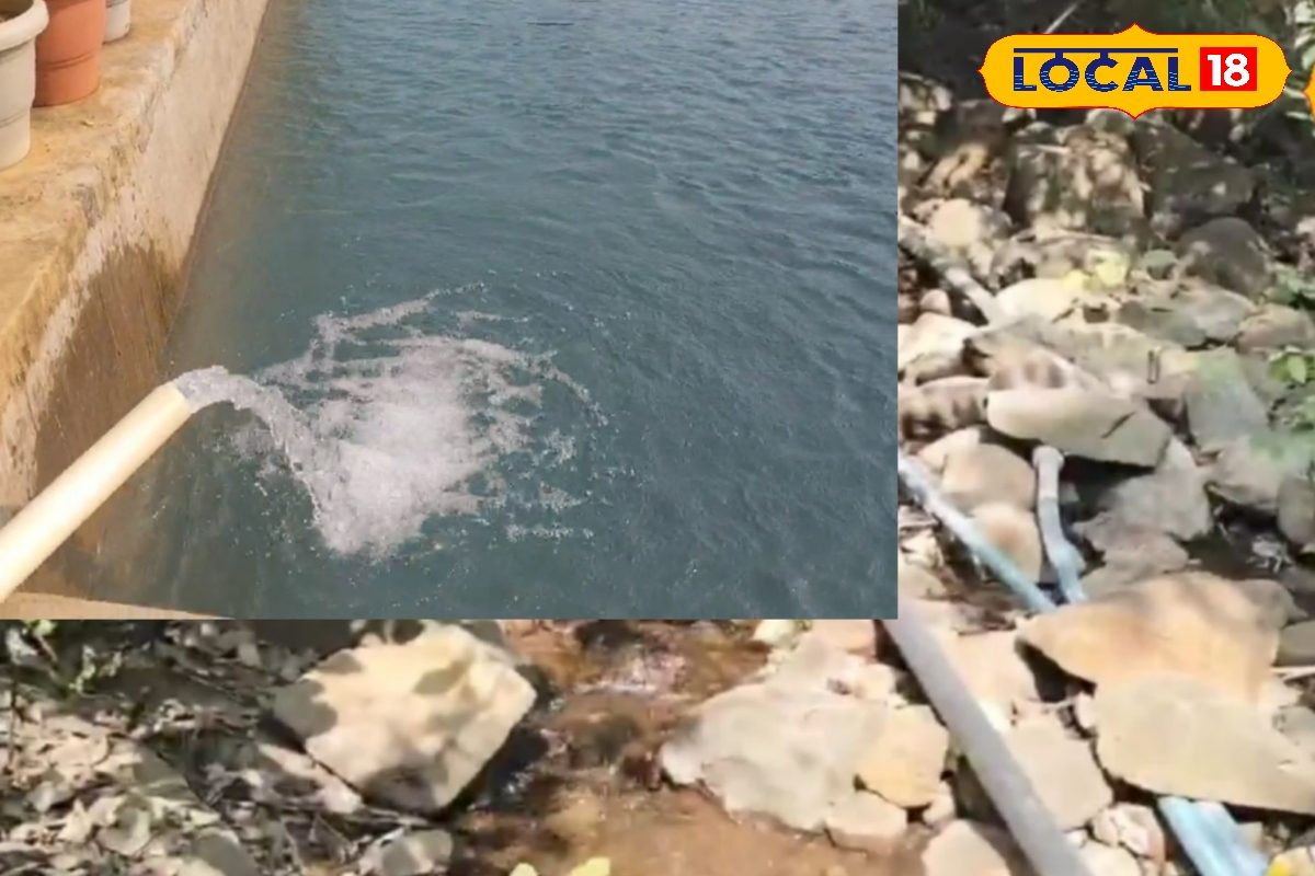 रांची का किसान 15 एकड़ में करता है पटवन न कोई मशीन बस लगाया ये फार्मूला