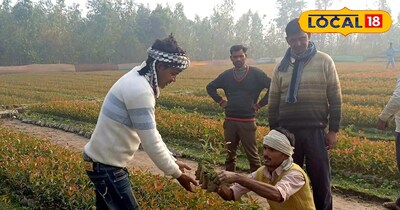 कम लागत, तेज बिक्री और लाखों की कमाई, ऐसे शुरू करें पौधों की नर्सरी का बिजनेस