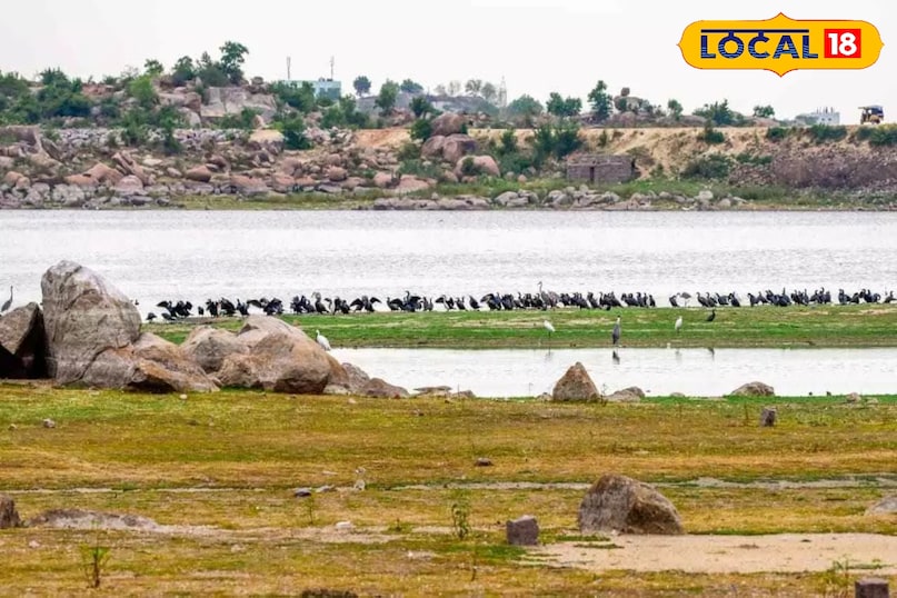 अमीनपुर झील ​यह भारत की पहली ऐसी झील है जिसे बायोडायवर्सिटी हेरिटेज साइट घोषित किया गया है। यहाँ आपको विदेशी पक्षी और फ्लेमिंगो देखने को मिल सकते हैं। एक जर्नलिस्ट के लिए यहाँ वाइल्डलाइफ फोटोग्राफी और पर्यावरण को महसूस करने का अच्छा मौका हो सकता है।