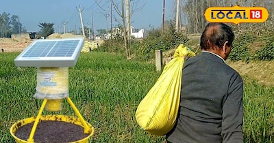 किसानों को मिलेगी बड़ी राहत, बचेगी फसल और सेहत मिलेगा 75 प्रतिशत तक अनुदान किसान