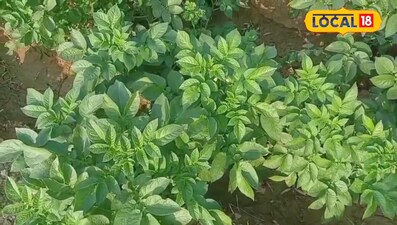 किसानों को सोच समझकर करना होगा रसायनों का प्रयोग 