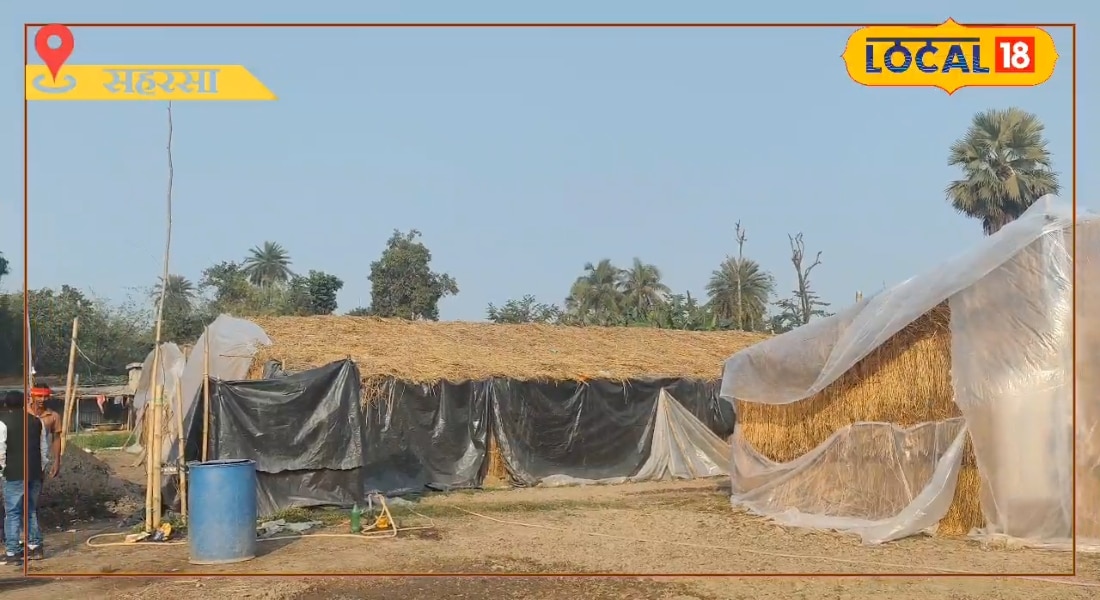 कैसे बढ़ाएं मशरूम का उत्पादन, सहरसा के एक्सपर्ट से जानिए वैज्ञानिक तरीका