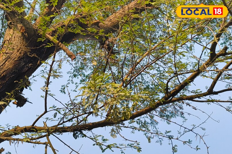 স্বাস্থ্যের জন্য