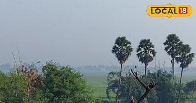 आसमान साफ और तेज धूप 