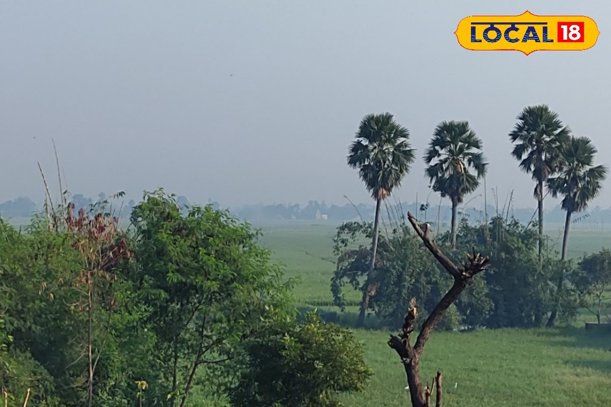 Bihar Aaj ka Mausam: बिहार में कोहरा-कोल्ड डे खत्म, क्या अब होगी बारिश? IMD ने दिया यह संकेत