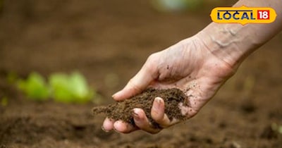 किस मिट्टी में कौन-सी फसल देगी ज़्यादा मुनाफा?