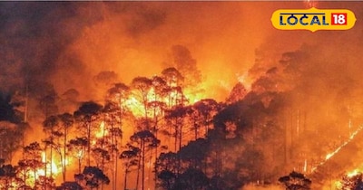 जंगलों की आग से निपटने के लिए वन विभाग ने जारी किया प्लान