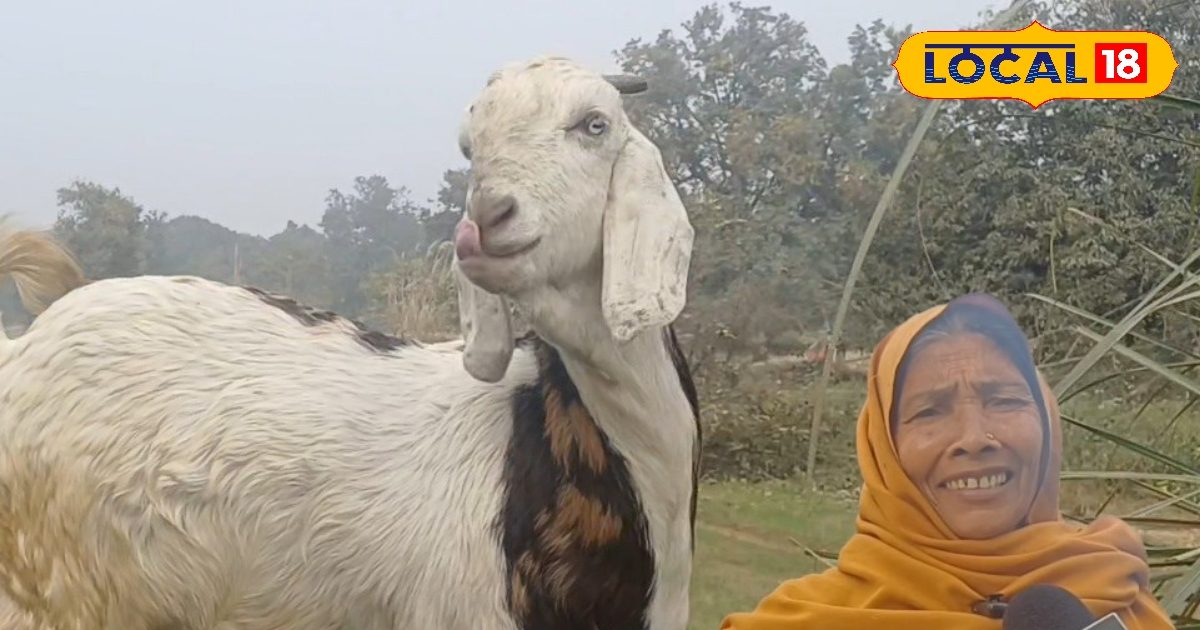 Business – गांव की मिट्टी में छुपा है पैसा, 1 लाख में शुरू करें ये कमाल के बिजनेस, जानिए पूरा तरीका – Uttar Pradesh News – INA NEWS