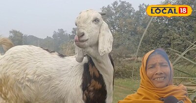 गांव में छुपा है कमाई का बड़ा मौका, 1 लाख से शुरू करें ये धांसू बिजनेस और बदलें