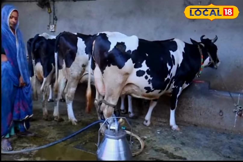 डेयरी बिजनेस