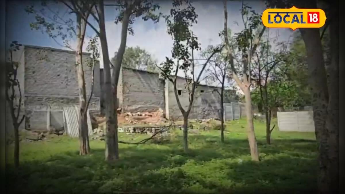 कंक्रीट के जंगल में हरियाली की सांस, तेलंगाना को मिले 6 नए नगर वन