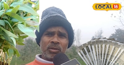 5 रुपये का पौधा बना लाखों की कमाई, इस फसल से किसान ने बदली किस्मत