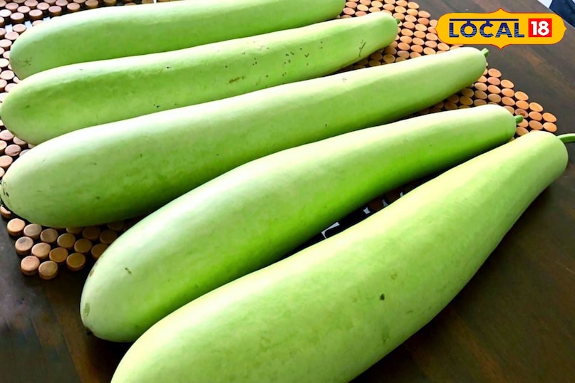 Moradabad news, hindi news, local news, up news, Moradabad news, Hindi news, local news, UP news. Moradabad news, hindi news, local news, up news, Moradabad news, Hindi news, local news, UP news.