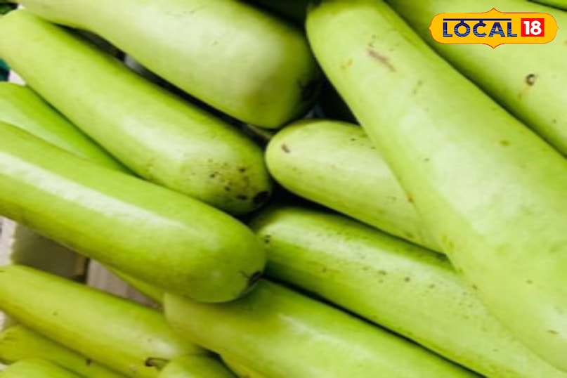 Moradabad news, hindi news, local news, up news, Moradabad news, Hindi news, local news, UP news. Moradabad news, hindi news, local news, up news, Moradabad news, Hindi news, local news, UP news.