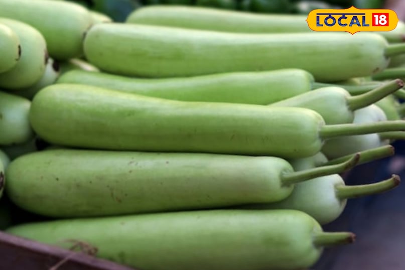 Moradabad news, hindi news, local news, up news, Moradabad news, Hindi news, local news, UP news. Moradabad news, hindi news, local news, up news, Moradabad news, Hindi news, local news, UP news.