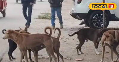 स्कूली बच्चों और राहगीरों का घर से निकलना दूभर हो गया है <br>