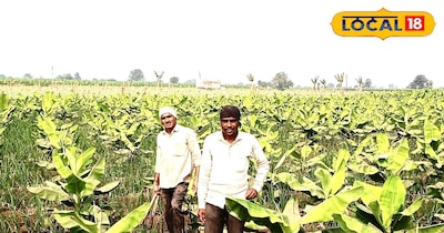 जानकारी देते किसान पंकज गावंडे 