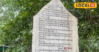 बूढ़ा बरगद