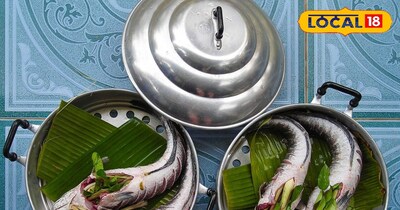 मछली क्यों मानी जाती है सबसे सेहतमंद एनिमल फूड?