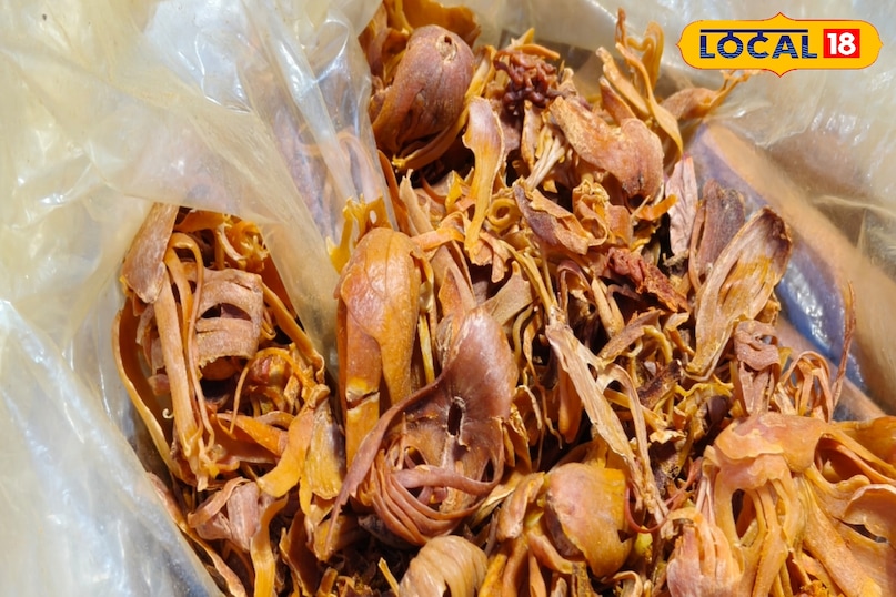 इम्यूनिटी पॉवर 