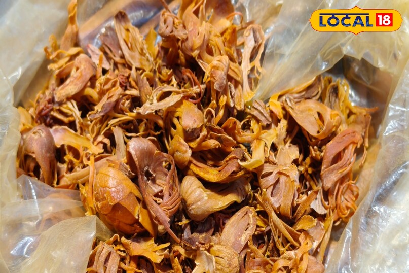 दिल का दोस्त