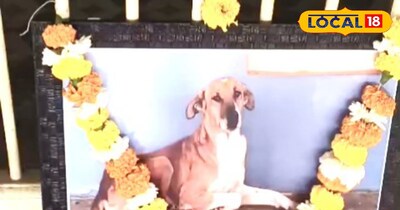 शेरा श्वान की तेरहवीं का हुआ आयोजन 