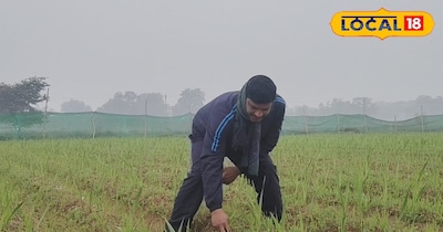 ग्लाइडोलियस के खेत में किसान 