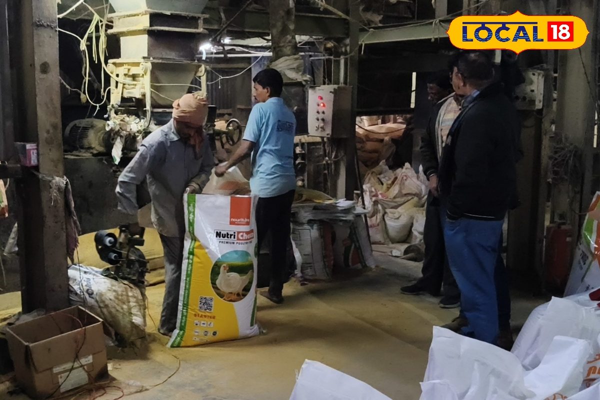 मुजफ्फरपुर में बने दाने से पलती है नेपाल-बांग्लादेश की मुर्गीयां, 1000 को रोजगार, 350 करोड़ का टर्नओवर