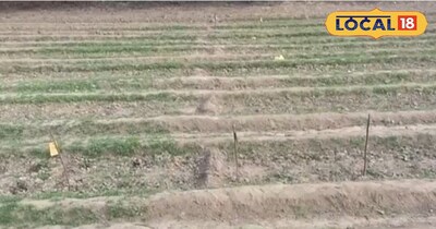 मिट्टी की गुणवत्ता बताया विश्वविद्यालय