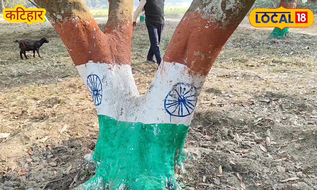'मैंगो मैन' कालिदास बनर्जी की अनोखी पहल, कटिहार के पेड़ों पर चढ़ा गणतंत्र दिवस का रंग