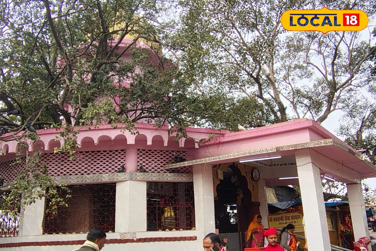 ऐसा मंदिर जहां रुकती है आती-जाती हर गाड़ी! भक्तों ने छोड़े हैं हजारों कबूतर, सभी मनोकामनाएं होती हैं पूरी