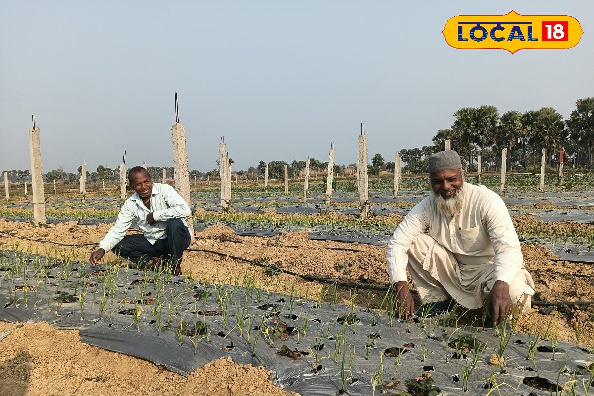 बंजर जमीन उगल रहा सोना! दो किसान दोस्तों की मेहनत से 30 एकड़ जमीन को बनाया हरा-भरा, खेती से कमा रहे लाखों