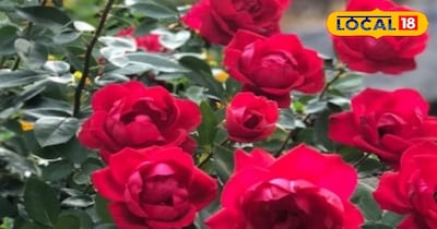 प्रतीकात्मक