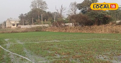 अचानक बदला मौसम, किसान गेहूं की खेत में कर लें यह उपाय