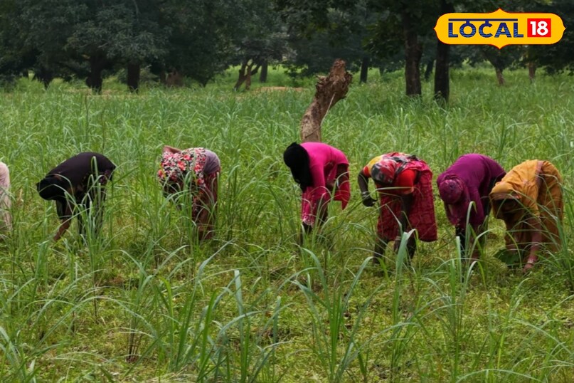 अग्रिम वित्तीय सहायता से आसान हुई खेती की शुरुआत