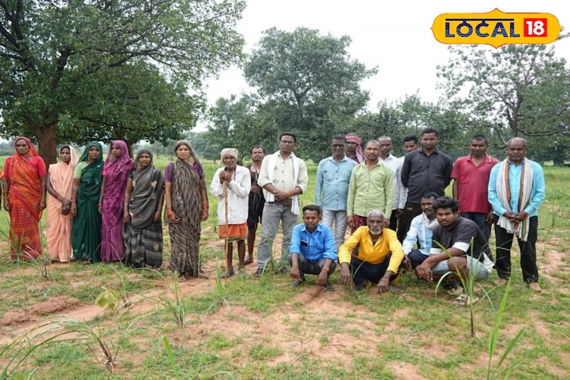 230 एकड़ में फैलती लेमनग्रास की खेती