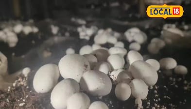 ढाई लाख के लागत से यूट्यूब देखकर तीन दोस्तों ने शुरू कर दिया उद्योग