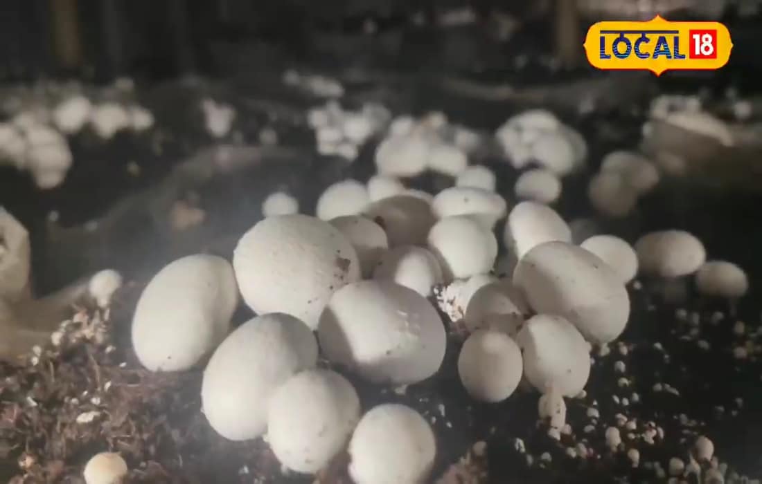 इंजीनियर दोस्त ने दिया आइडिया, तीन दोस्तों ने यूट्यूब पर देखकर लगा दिया उद्योग, हो रही तगड़ी कमाई