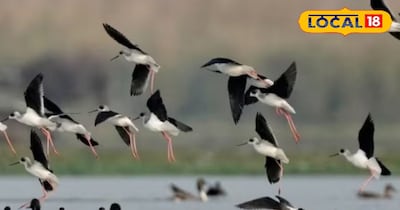 बड़े चाव से शिकार करते हैं लोग