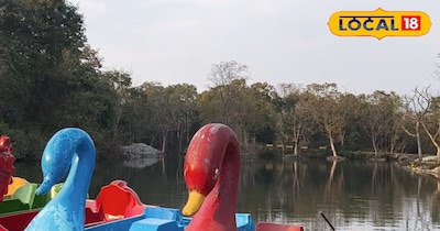 आसन बैराज विदेशी पक्षियों के लिए ही हैंगआउट प्लेस 