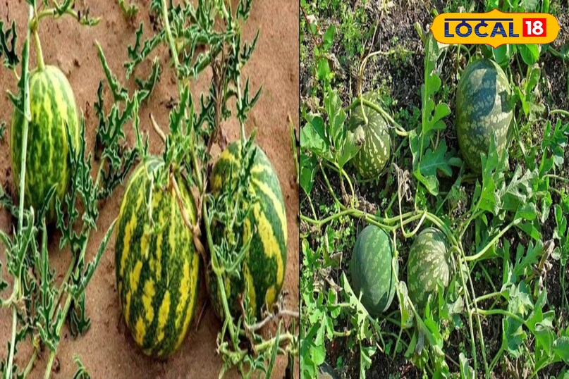 স্বাস্থ্য টিপস 