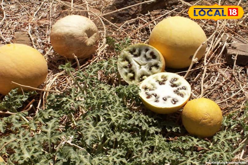 স্বাস্থ্য টিপস 