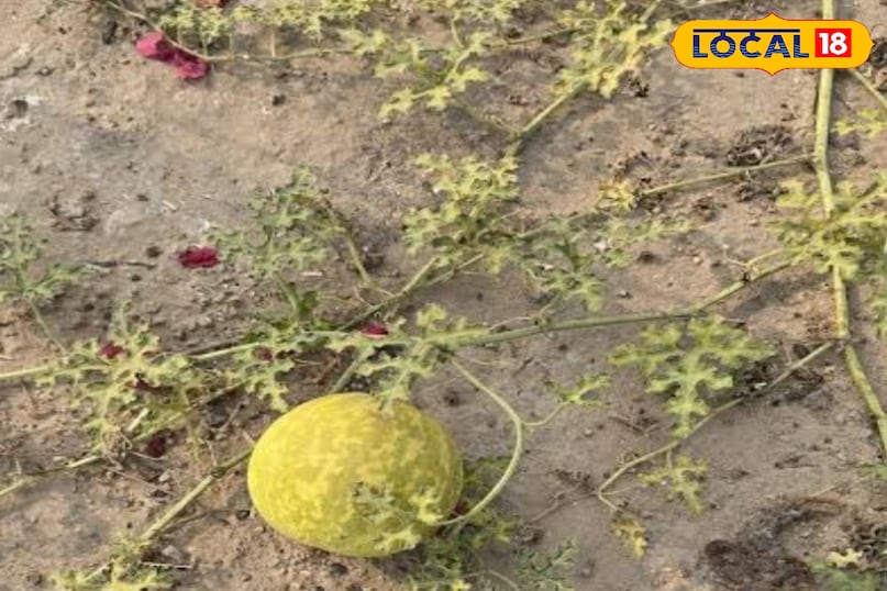 স্বাস্থ্য টিপস 