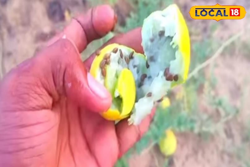 স্বাস্থ্য টিপস 