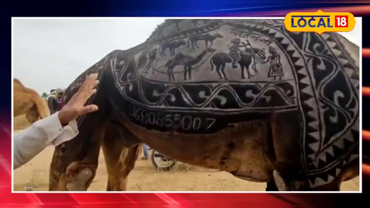 गजब... इस ऊंट की पीठ का किसका चेहरा बना दिया गया है, देखने वाले रह जा रहे दंग!