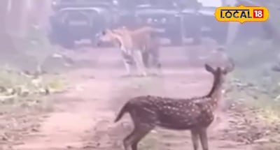 वायरल वीडियो.