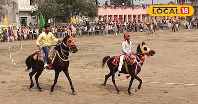 चीता की तरह हांकता है घोड़ा
