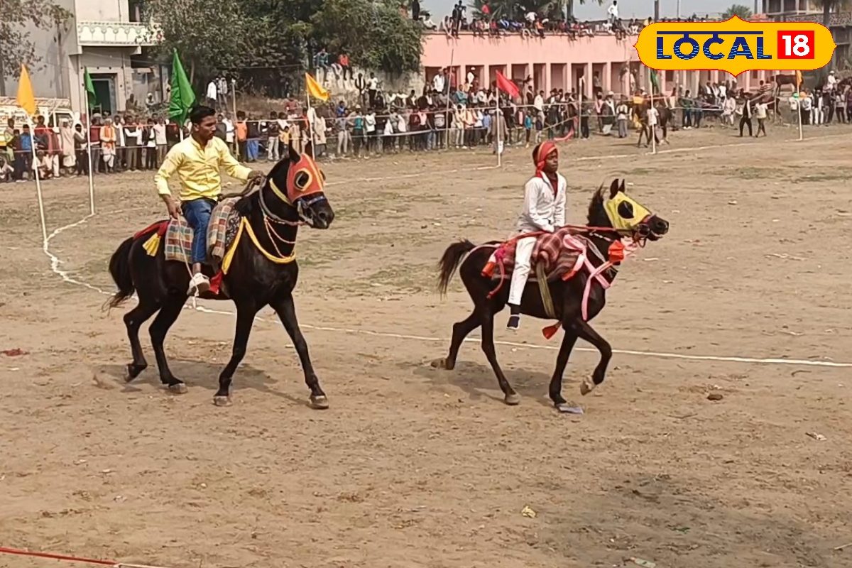 उम्र 12 साल... चीता की तरह हांकता है घोड़ा, फर्राटा जैसी भरता है रफ्तार, कर्तव्य देख हर कई हैरान